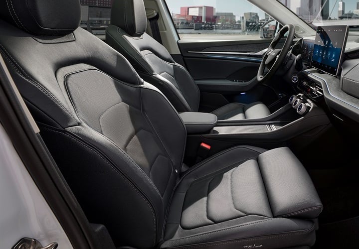 Interior premium scaune piele